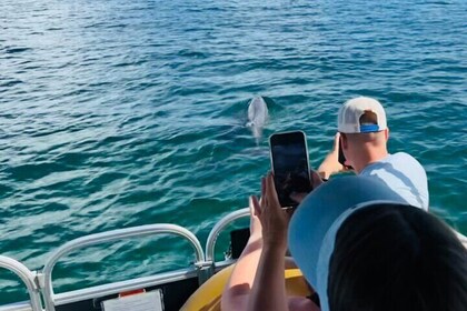 Destin Boat Ride