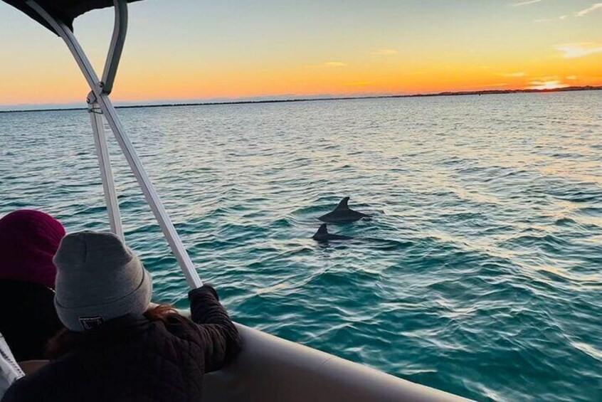 Sometimes we get to see the dolphins.
