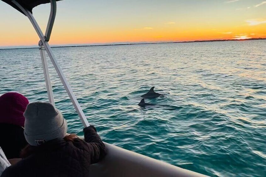 Sometimes we get to see the dolphins.