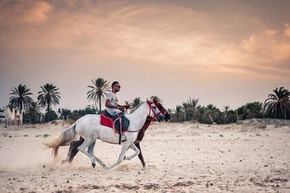 Exciting Horseback Adventures in Gorgeous Desert - Marsa Alam