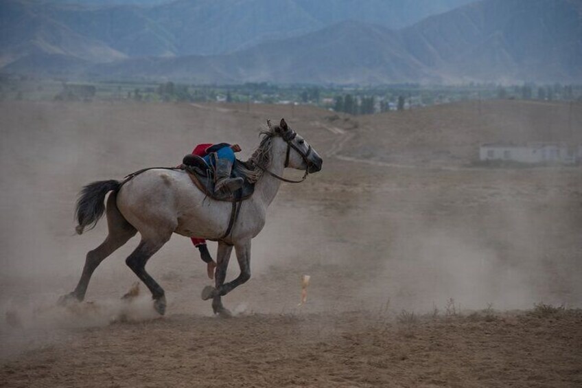 Ride the Magic: Horseback Adventures Gorgeous Desert- Marsa Alam