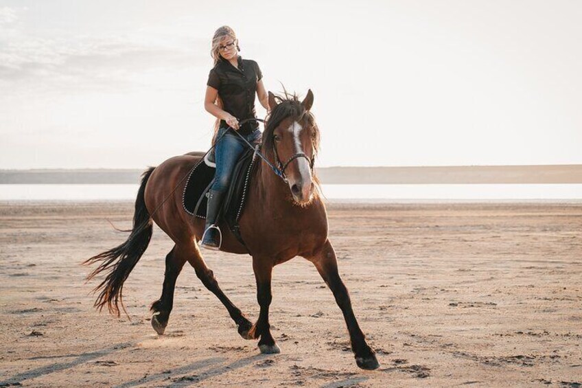 Ride the Magic: Horseback Adventures Gorgeous Desert- Marsa Alam