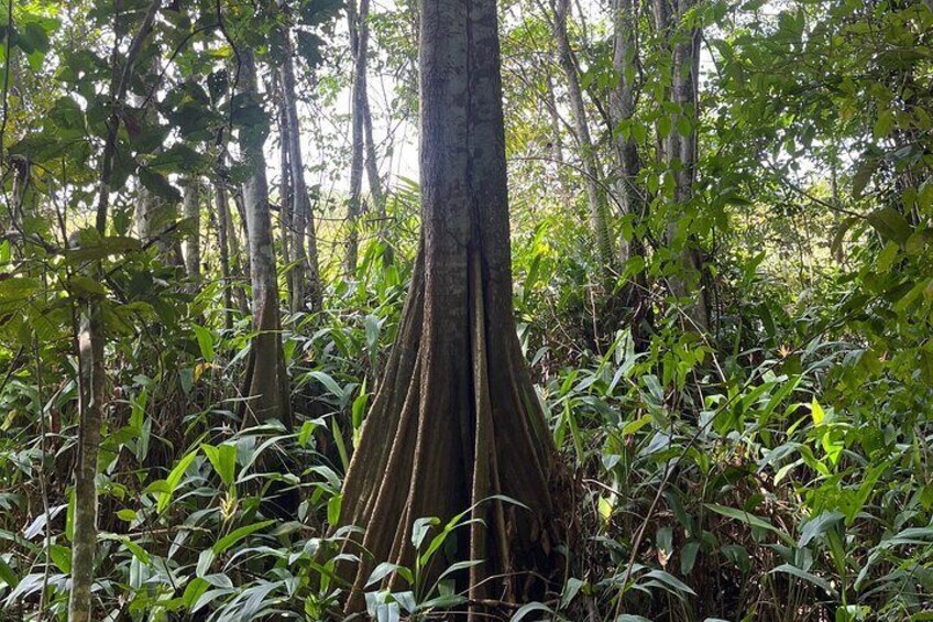 Private Adventure at Guayaney Spring