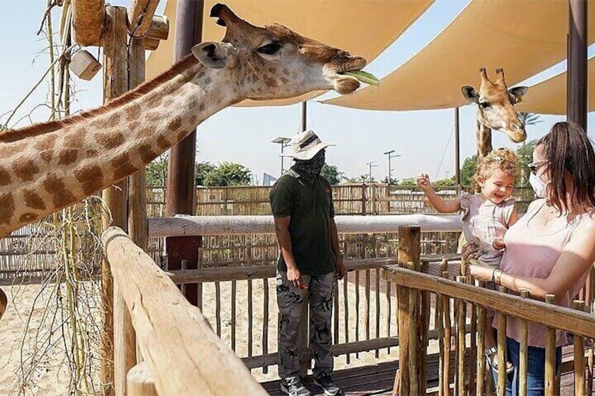 Dubai Safari Park Admission Tickets