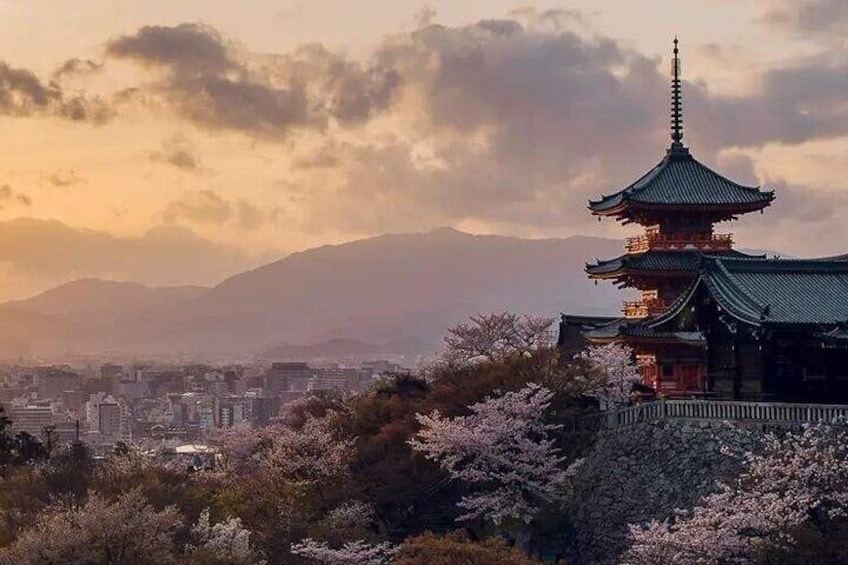 Fushimi Inari Shrine and Nara Park Day Tour from Osaka and Kyoto