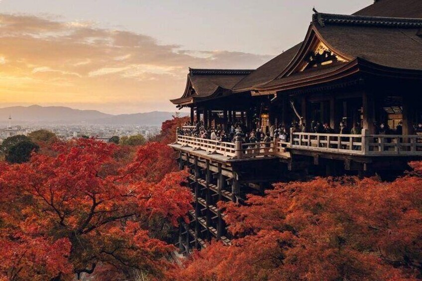 Fushimi Inari Shrine and Nara Park Day Tour from Osaka and Kyoto