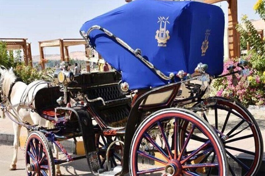 Horse carriage by the Nile Corniche