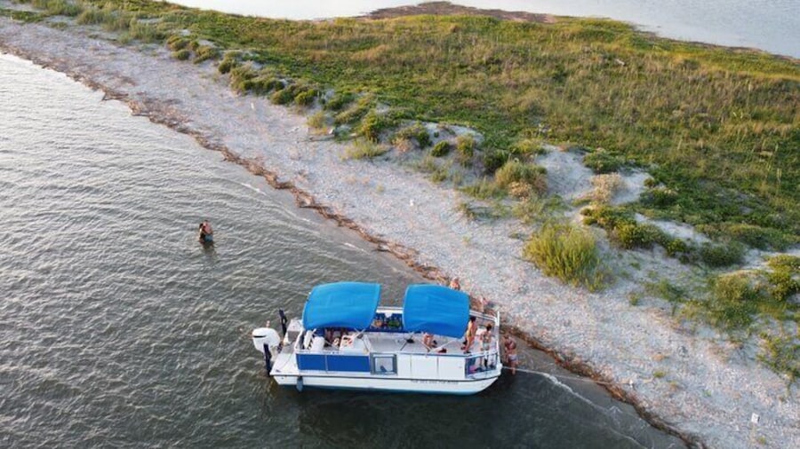 Dolphin Boat Tour from Folly Beach to Morris Island