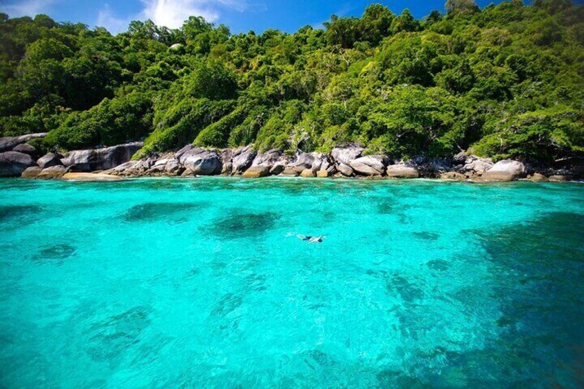 Khao Lak to Similan Islands Lazy Snorkeling by Speedboat