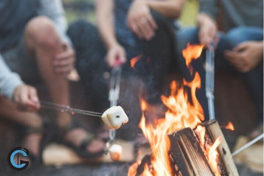 3 Hours Australian Campfire with Dinner in Tamborine Mountain