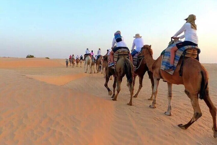 Custom Tunisia Tours: 2, 3, 5, 6.. 15 Days | Contact Us To Plan!