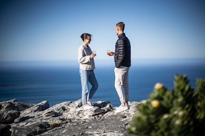 Private Gin & Tonic Sightseeing and Tasting in Cape Town