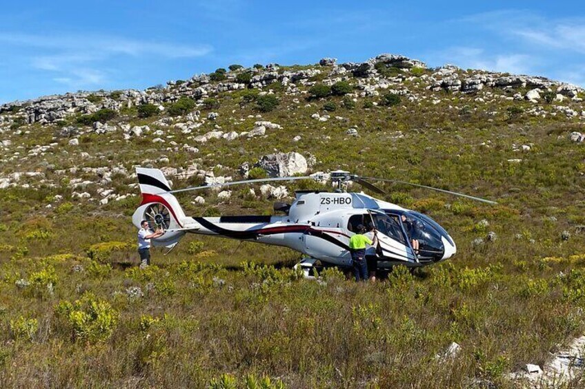 Private Gin & Tonic Sightseeing and Tasting in Cape Town