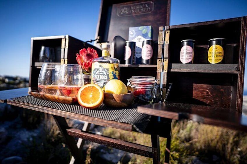 Private Gin & Tonic Sightseeing and Tasting in Cape Town