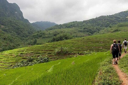 3 Day 2 Night Pu Luong Adventure: Hanoi to Scenic Village Life