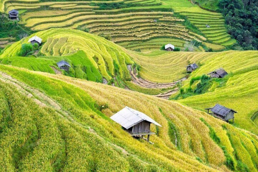 Full Day Group Tour in Mai Chau