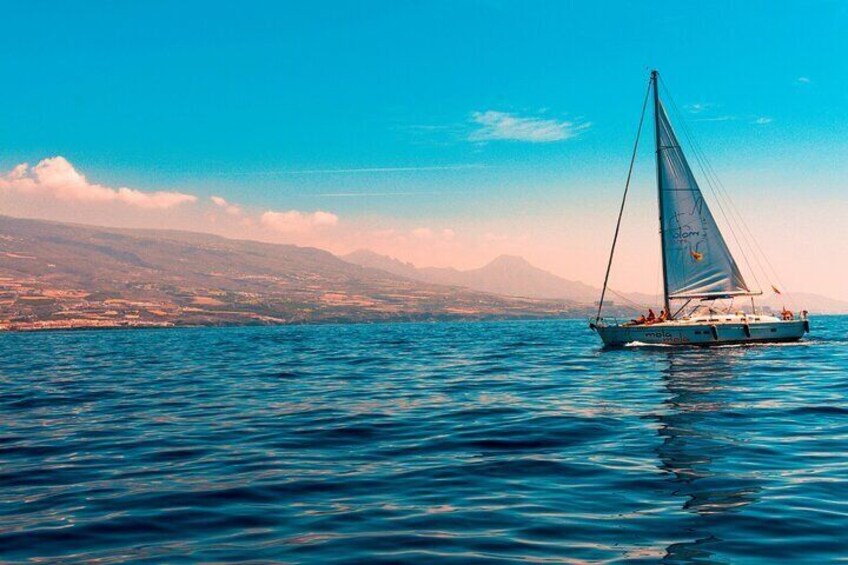 Private Sailing Cruise to Dia Island with Drinks and Meal