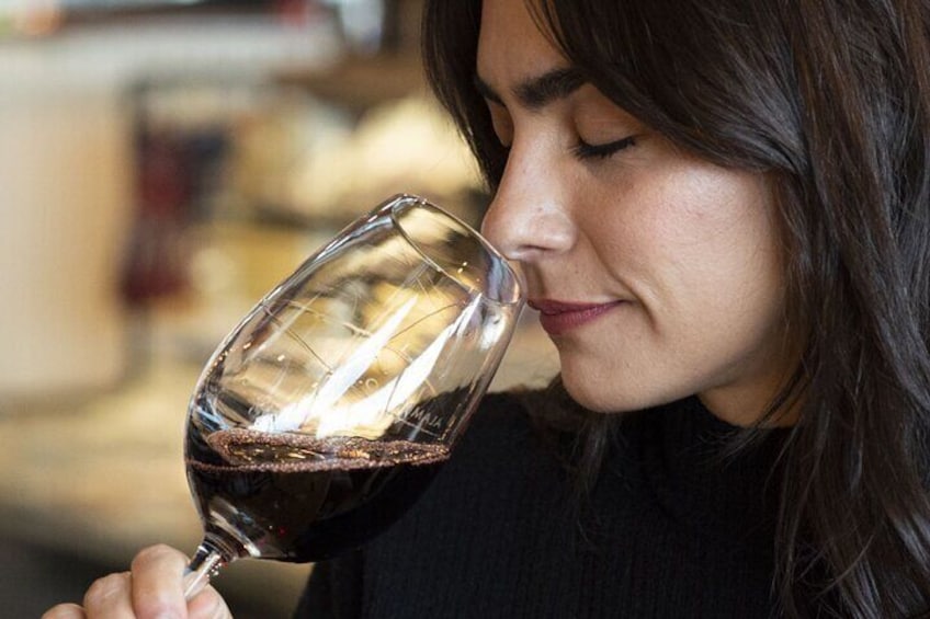 Photo tour and Wine Tasting in Ushuaia City