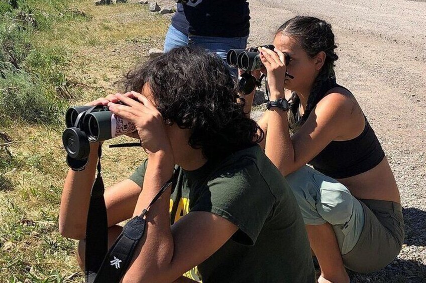 Guides of Jackson Hole provides professional binoculars to see wildlife up close and personal. Fun for the whole family.