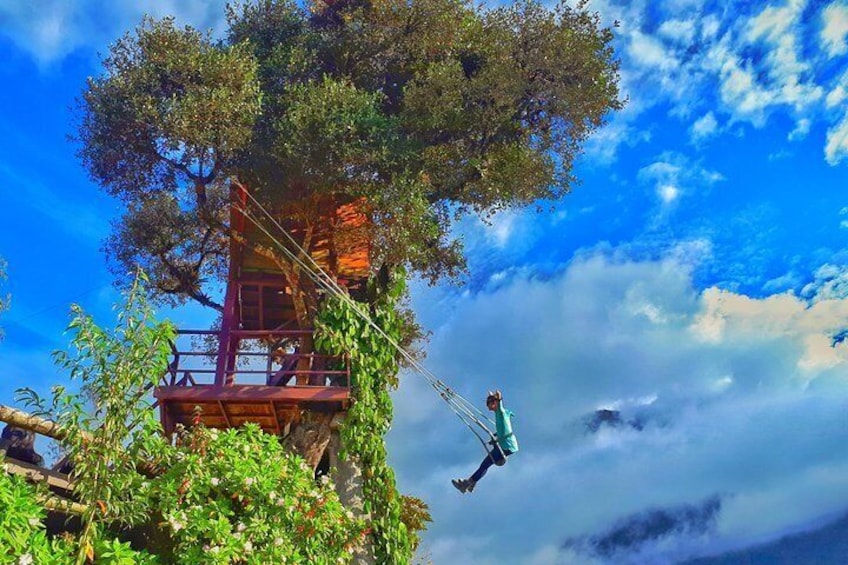 The best photos with Chebastour in the Tree House