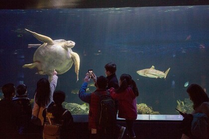 Vancouver Maplewood Farm, Bloedel Conservatory and Aquarium Tour