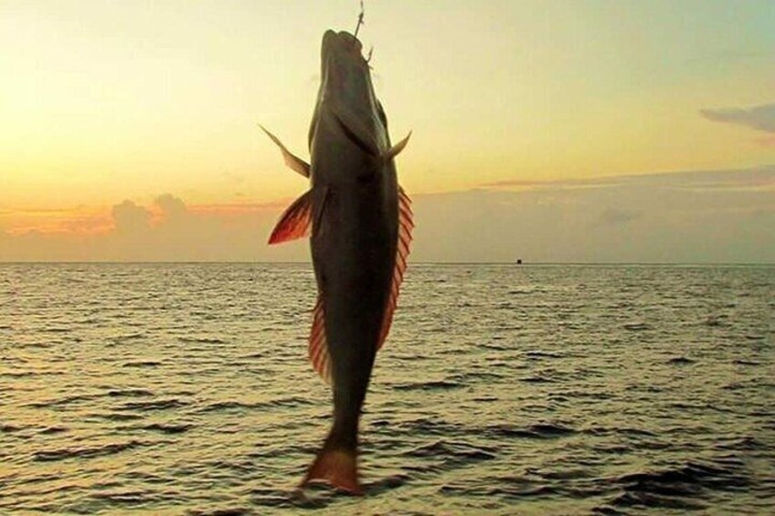 All-Day Private Fishing Adventure with Gear and Dinner - Hurghada