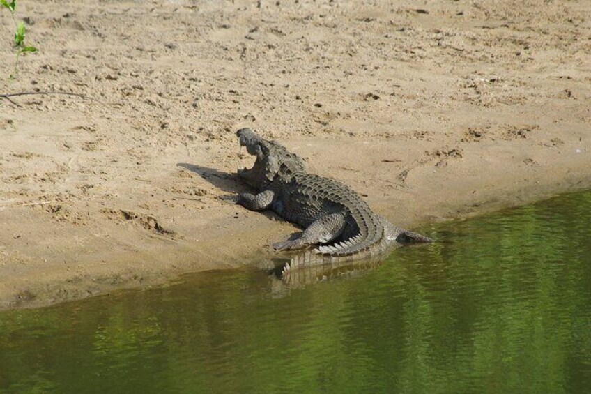 Udawalawe National Park