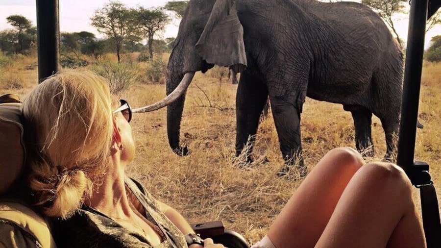 11 Days Kenya Safari Tour on 4x4 Landcruiser Jeep