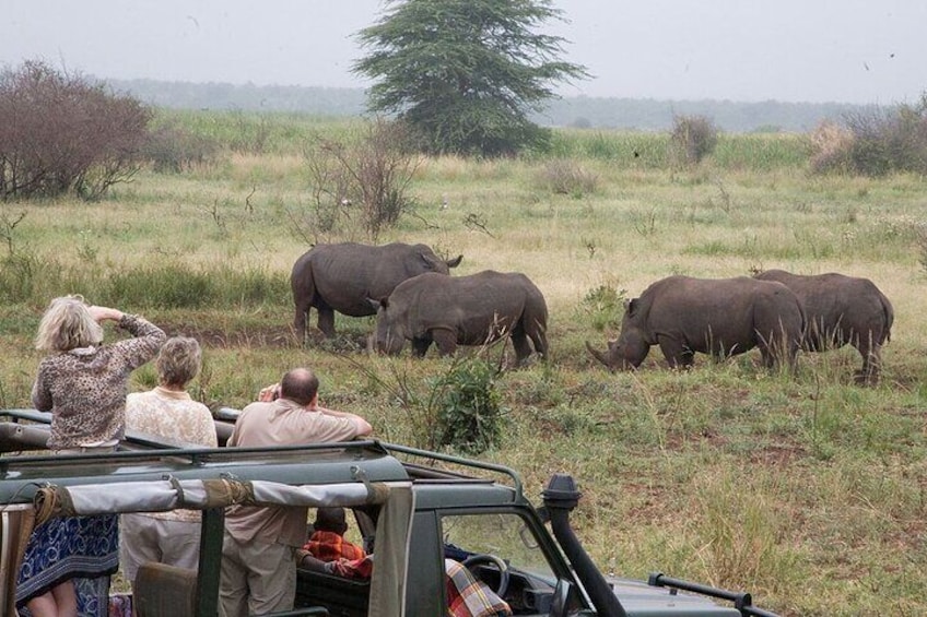 11 Days Kenya Safari Tour on 4x4 Landcruiser Jeep