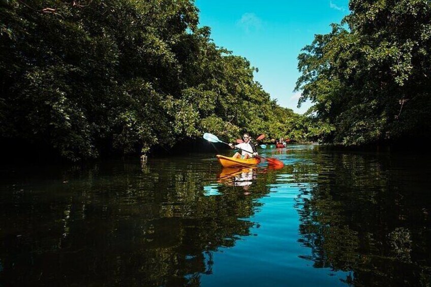 Afternoon Guided Kayak Activity on the Tamarin River