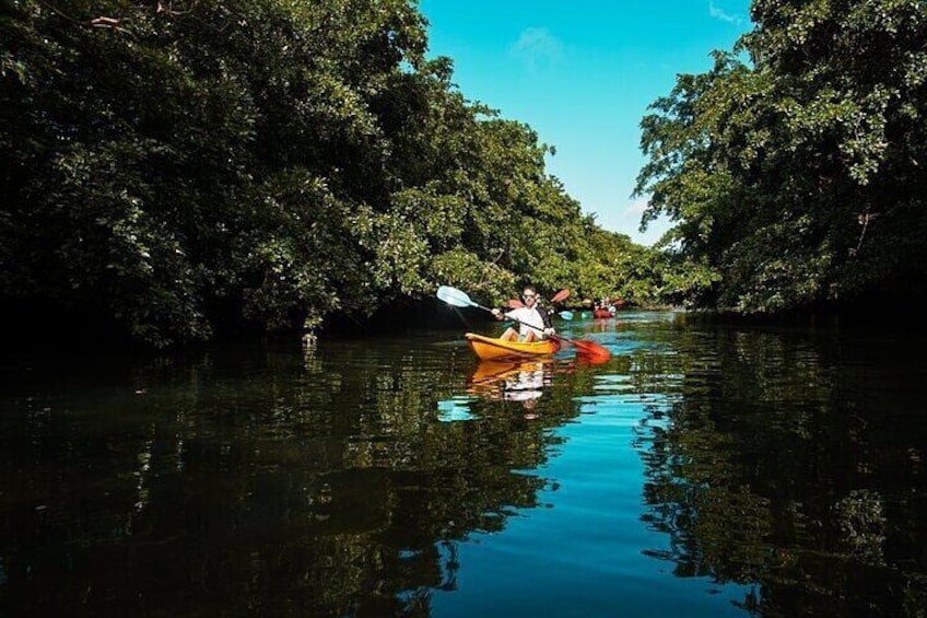 Afternoon Guided Kayak Activity on the Tamarin River