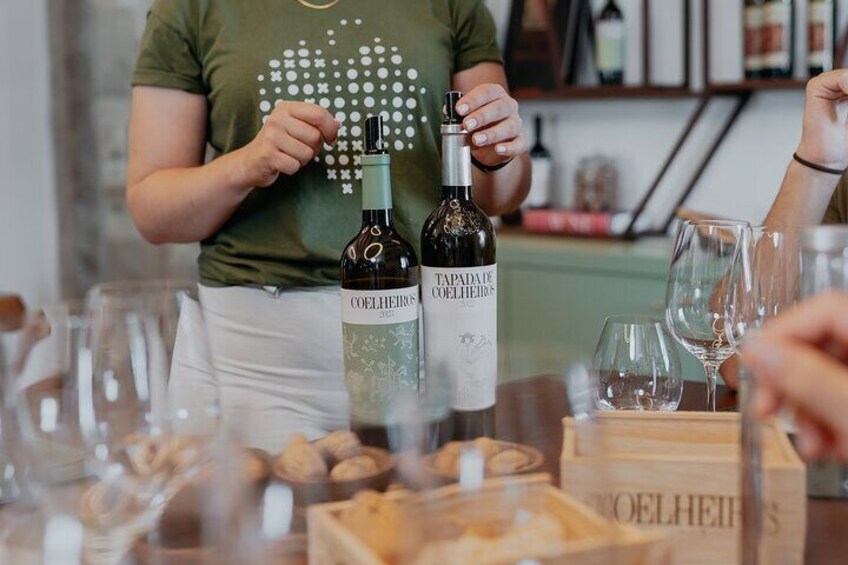 Half Day Wine Tour Around Evora