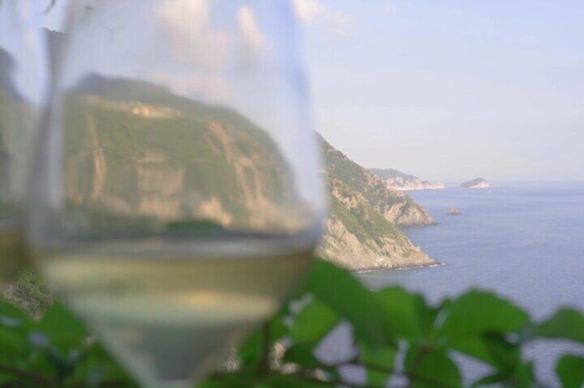  Cinque Terre Private Wine And Views Tour