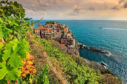 Cinque Terre Private Wine And Views Tour