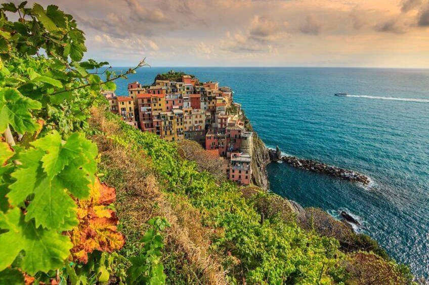 Manarola 