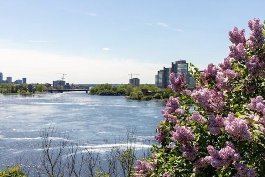 Family Walking Tour in Ottawa with Special Highlights