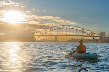 Sydney LED Lit Kayak Tour of the Opera House and Bridge