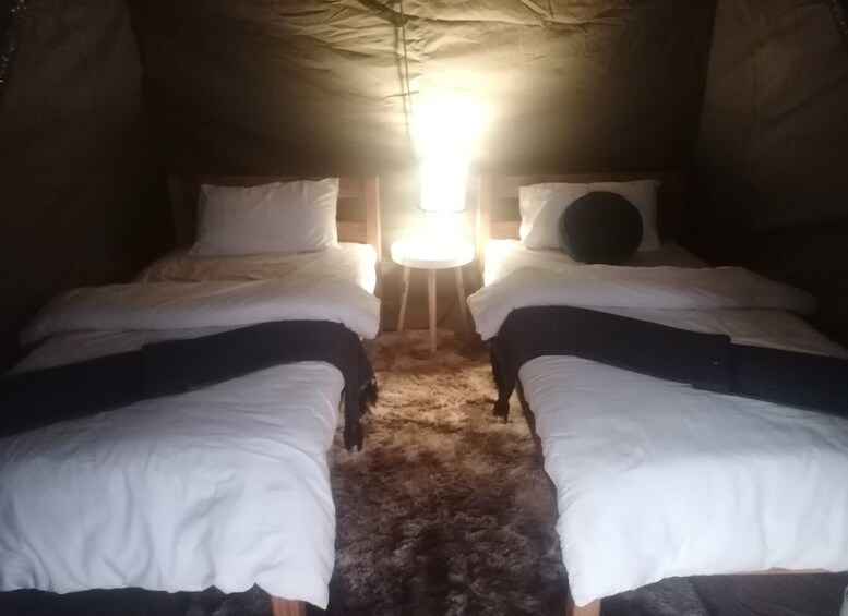 Picture 6 for Activity From Johannesburg: 2-Day Kruger National Park Tented Safari