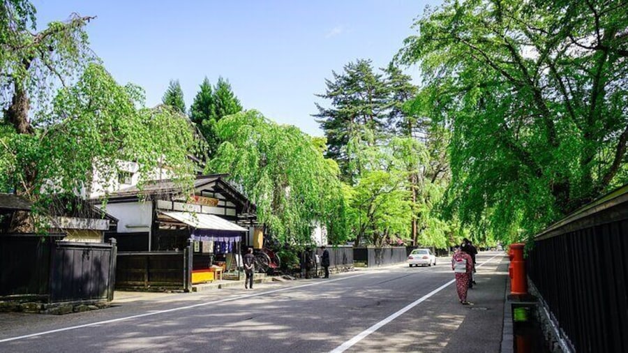 Akita Private Customizable Full Day Tour
