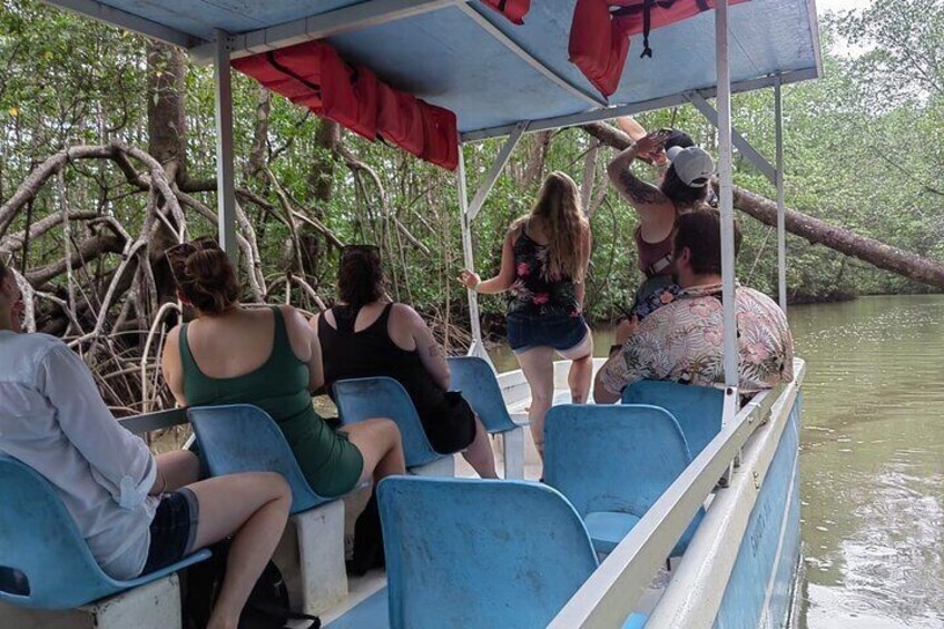 Manuel Antonio: Boat Mangrove Tour to See Animals 