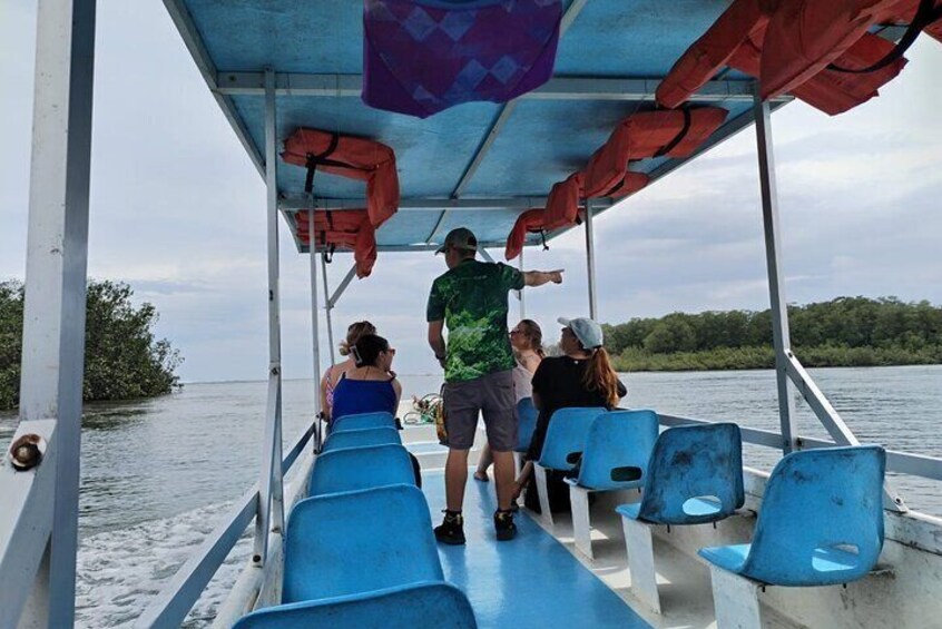 Manuel Antonio: Boat Mangrove Tour to See Animals 