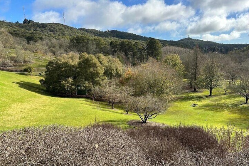 Hahndorf and Hills Wildlife Wonders