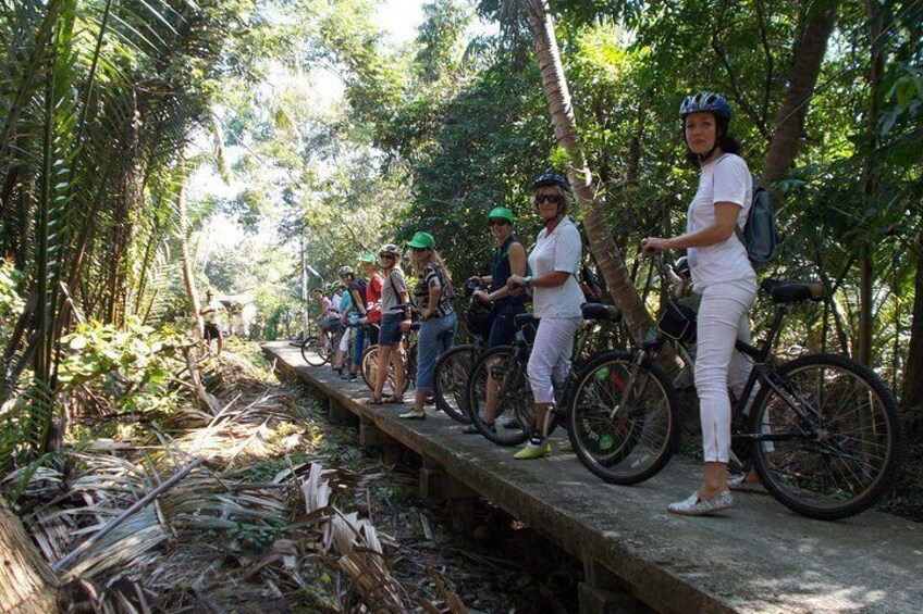 Cycling through the endless lush greenery 