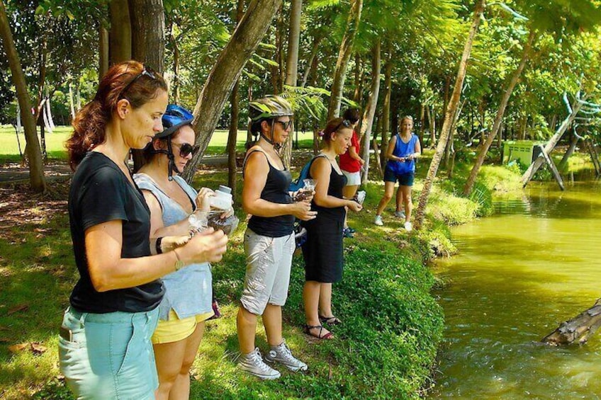 Relax by the lake in the shade of the trees and feed the hungry fish