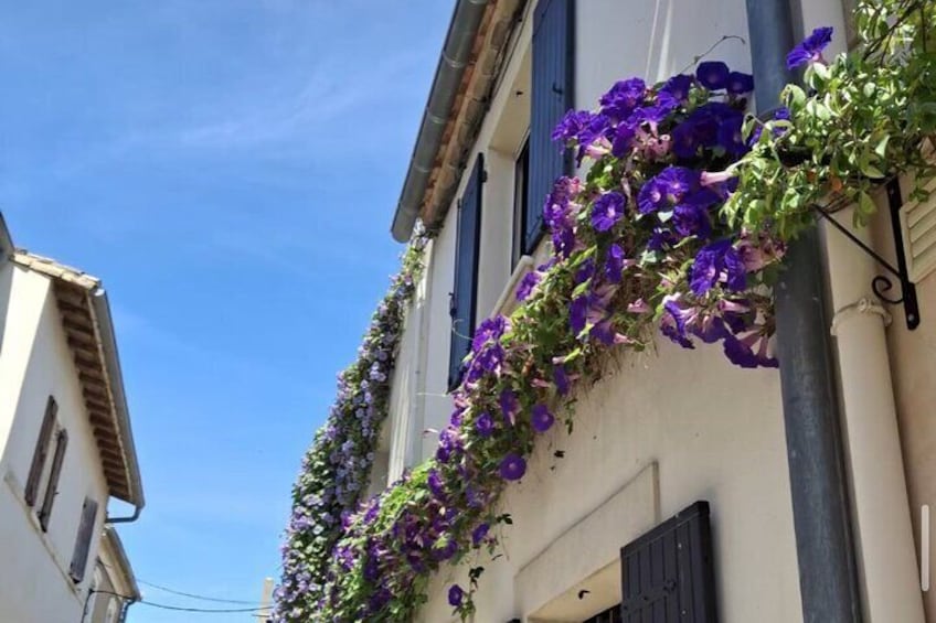 Exploring Camargue in Private Guided Tour