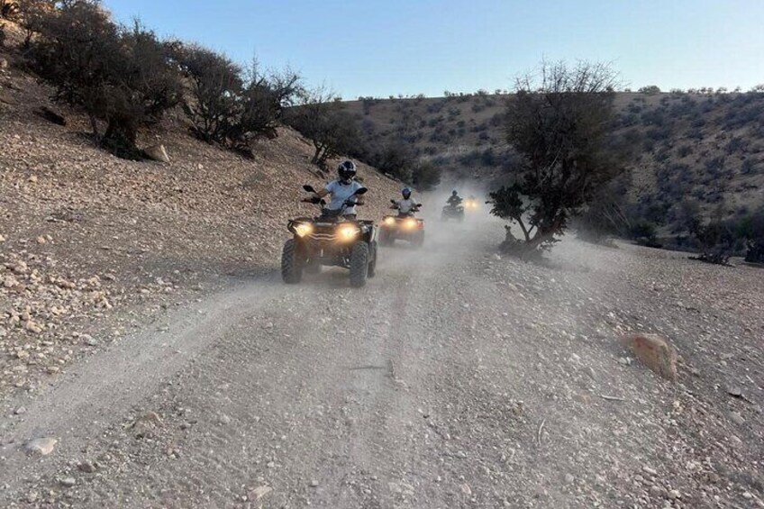 Agadir Agafay Desert Quad Biking With Goats On The Tree