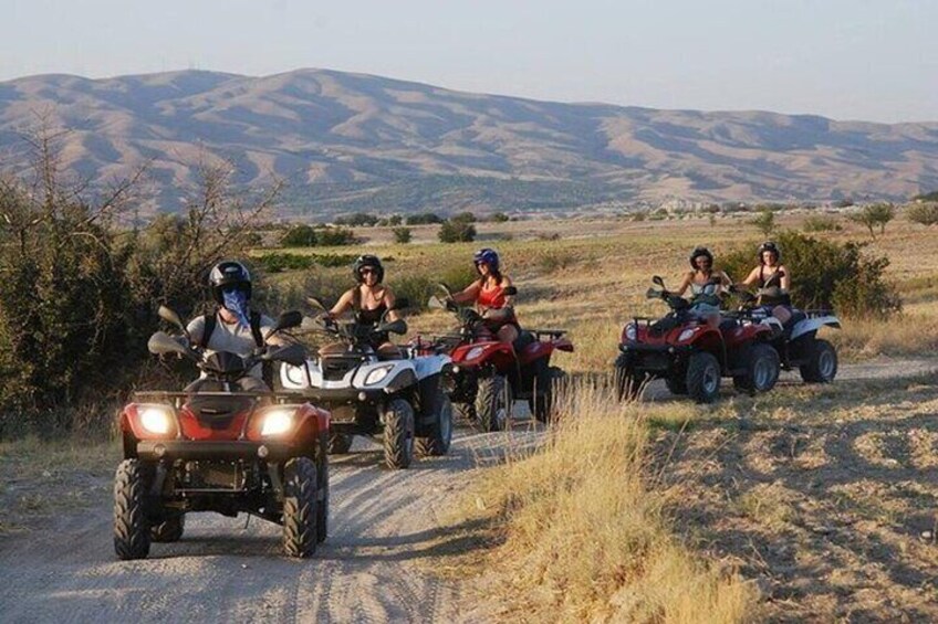 Agadir Quad Bike Safari desert With Goats On The Tree