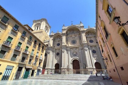 Private Tour Historic Centre and Albaicín in Granada