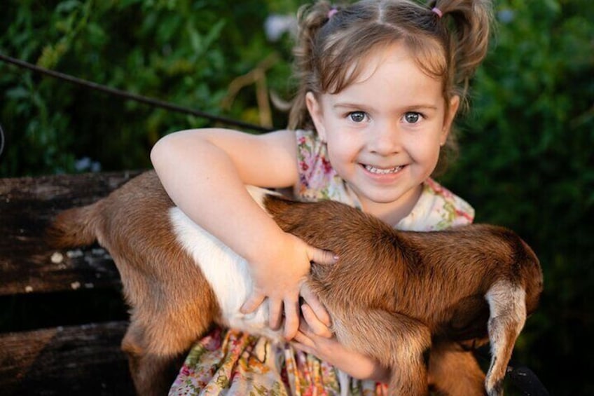 Morning Farm Experience in Queensland