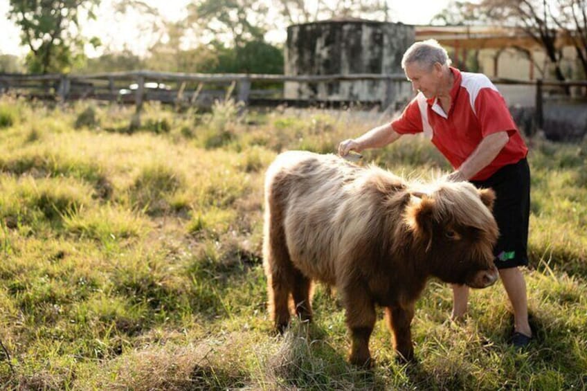 Morning Farm Experience in Queensland